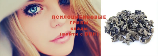 меф Пересвет