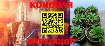 прущие грибы Жуковский