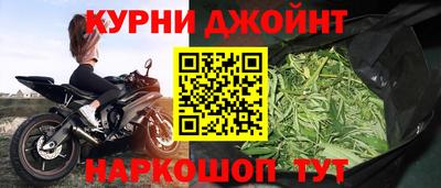прущие грибы Жуковский