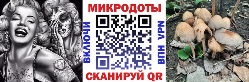 Галлюциногенные грибы Psilocybine cubensis  Тамбов 