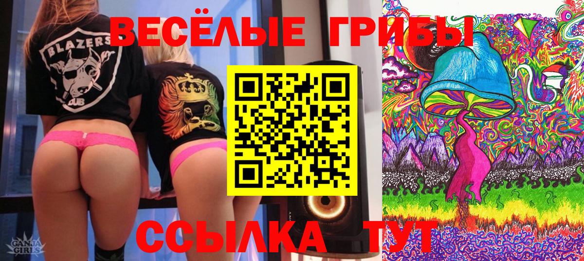 Тамбов  Галлюциногенные грибы ЛСД  Вход с VPN 