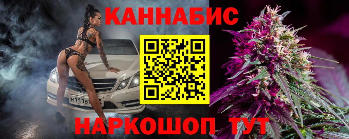 Тамбов  Бошки Шишки конопля  Бошки Шишки VHQ  Вход с VPN  Шишки марихуана тримм  Шишки марихуана план 